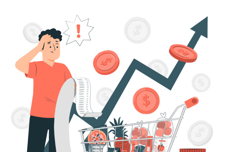 افزونه فروش اقساطی ووکامرس